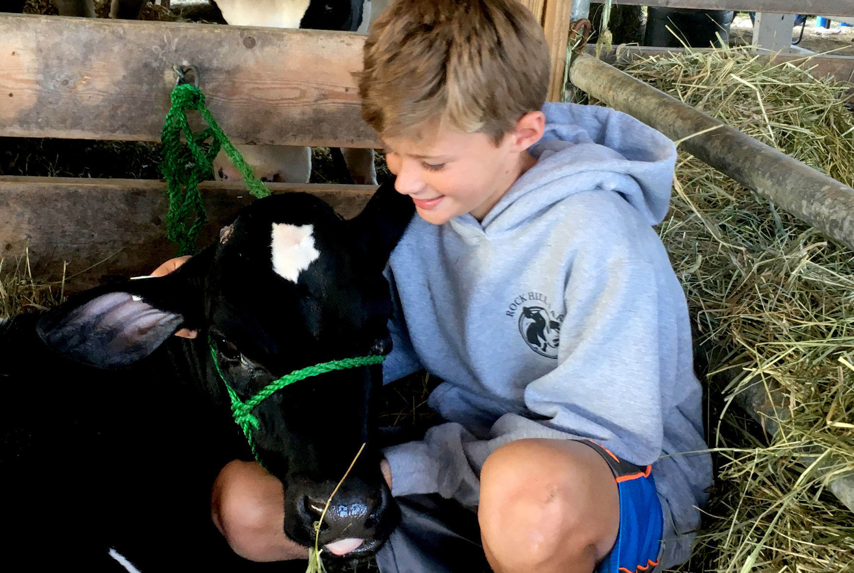 Early morning at the Washington County Fair